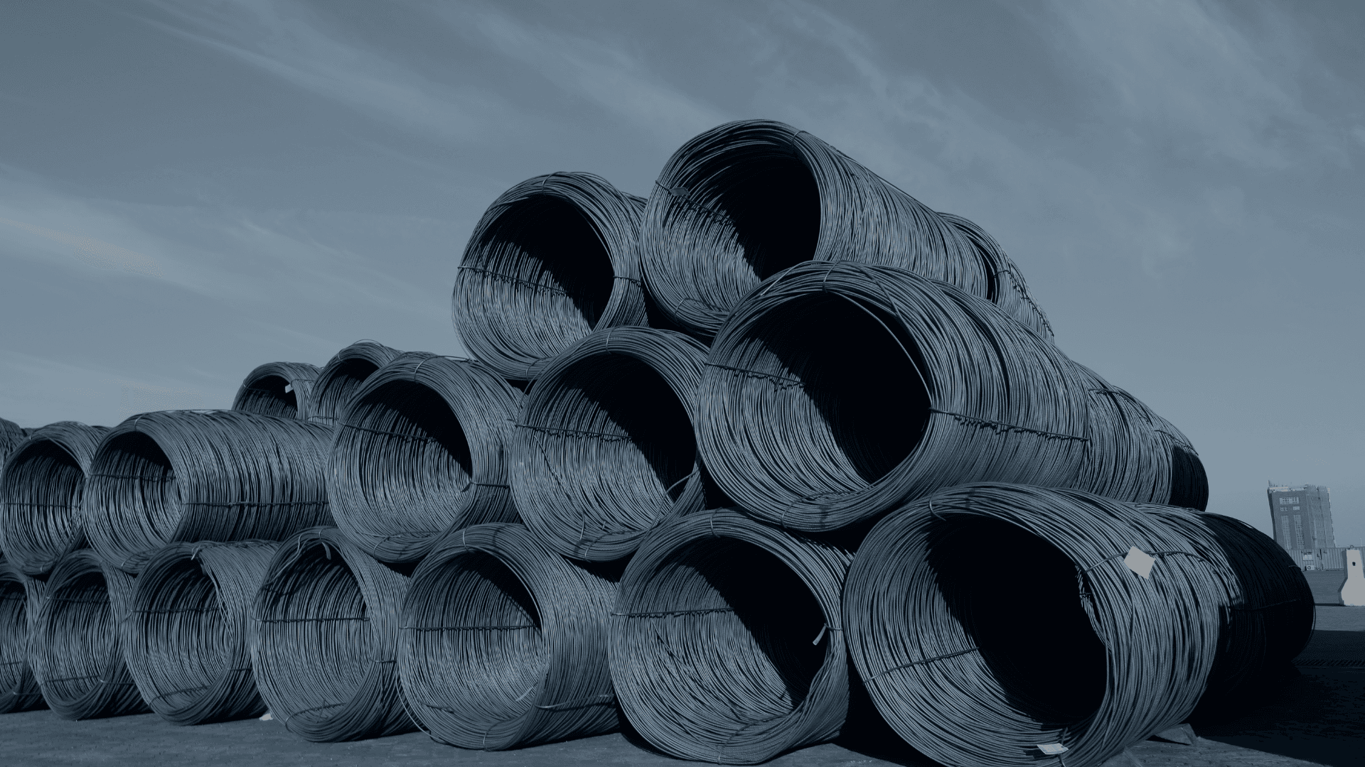 Leading manufacturers of Patenting wire